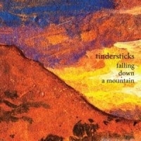Tindersticks - Falling Down The Mountain LP