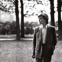 David Sylvian Brilliant Trees LP