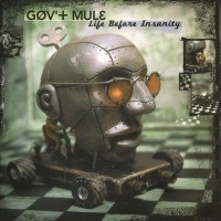 Gov `t Mule - Life Before Insanity LP