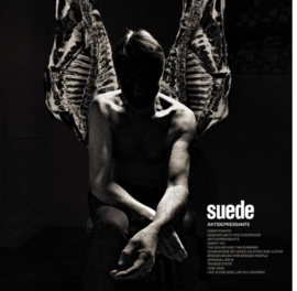 Suede Antidepressants LP