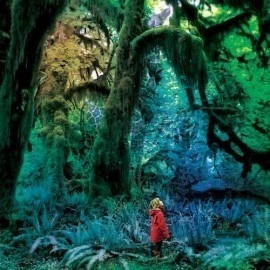 Jacco Gardner - Cabinets Of Curiosities LP