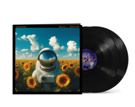 Tears for Fears Songs for a Nervous Planet 2LP