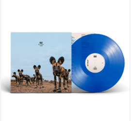 Balthazar Fever LP  - Blue Vinyl-