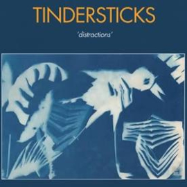 Tindersticks Distractions CD