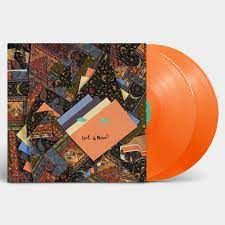 Animal Collective Isn't It Now? 2LP - Tangerine Vinyl-