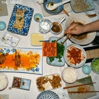 Vices Before It Might Be Gone LP