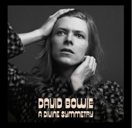 David Bowie A Divine Symmetry LP