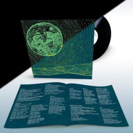 Superorganism Superorganism LP - No Risc Disc-