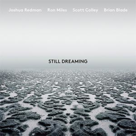 Joshua Redman Still Dreaming LP