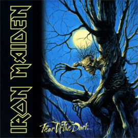 Iron Maiden Fear of The Dark 180g 2LP