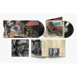 Dave Matthews Band - Walk Around The Moon 2LP