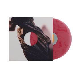 Pixies The Night the Zombies Came LP - Red Vinyl