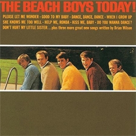 The Beach Boys The Beach Boys Today! 200g LP (Mono)
