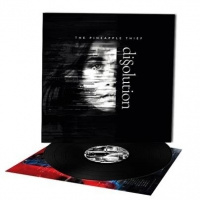 Pineapple Thief Dissolution 2LP