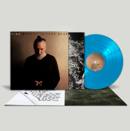 Fink Beauty In Your Wake LP - Blue Vinyl-