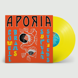 Sufjan Stevens & Lowell Brams Aporia LP - Yellow Vinyl-