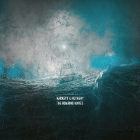 Steve Hackett & Steve Rothery The Roaring Waves LP