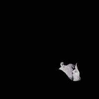 Bob Moses Days Gone By 2LP