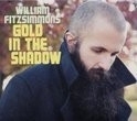 William Fitzsimmons- Gold In The Shadow LP + CD