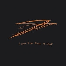 Andrew Bird - I want To See Pulaski At Night LP