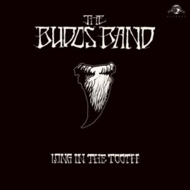 The Budos Band Long in the Tooth LP