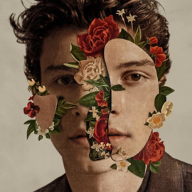 Shanwn Mendes Shawn Mendes LP