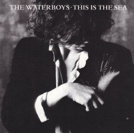 The Waterboys This Is The Sea LP