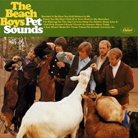 The Beach Boys Pet Sounds 200g LP (Mono)