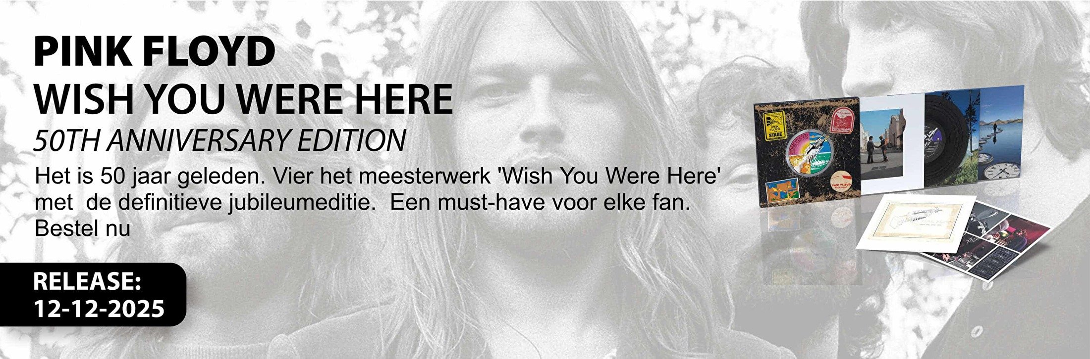 Pink Floyd Wish You Were Here 