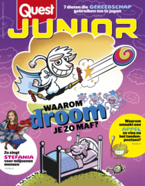 Quest Junior