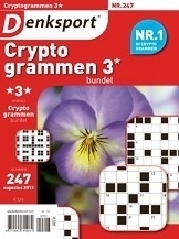 Cryptogrammen Bundel Niveau 3