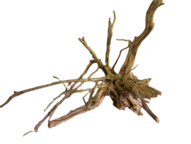 Driftwood Selected  DW42 -50x40x30cm
