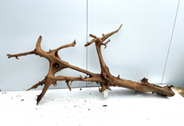 Osaka XL114 uniek aquarium decoratie hout  175x75x30 cm