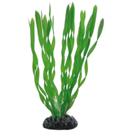 Osaka aquarium kunst plant Vallisneria 20cm art. 507