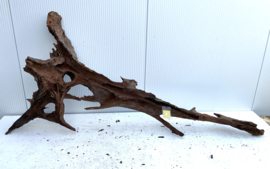 Osaka XL159 uniek aquarium decoratie hout  180x100x30 cm