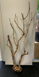 Osaka Boutique Stump XXXXL  49x100x205cm