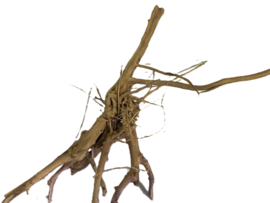 Driftwood Selected DW27 - 45x23x15cm