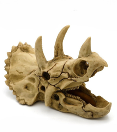 Dinosaurus kunstschedel Triceratops OS-218 - aquarium decoratie