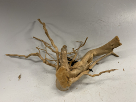 Spiderwood Selected SW117 - 44x14x26cm