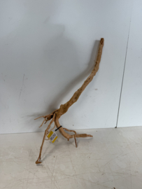 Boutique Stump Selected BS293 - 66x37x24cm