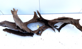 Osaka XL186 uniek aquarium decoratie hout  170x65x35cm