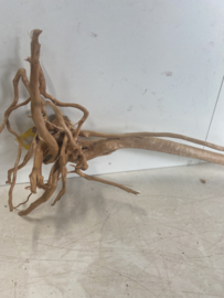 Boutique Stump Selected BS272- 70x32x18cm
