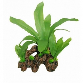 SF Easy Plants Hout Met Echinodorus 22cm