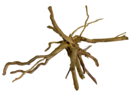 Driftwood Selected  DW48 - 52x48x32cm