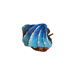 Schelp met luchtaansluiting blauw OS-151 - aquarium decoratie