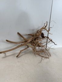Boutique Stump Selected BS281 - 80x50x32cm