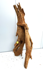 Osaka XL120 uniek aquarium decoratie hout  140x75x50 cm