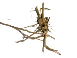 Driftwood Selected DW39 30x30x10cm