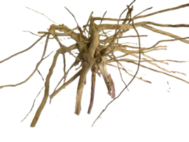 Driftwood Selected DW8 - 50x35x20cm