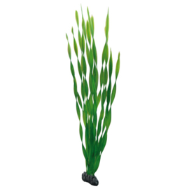 Osaka aquarium kunst plant Vallisneria 60cm art. 505